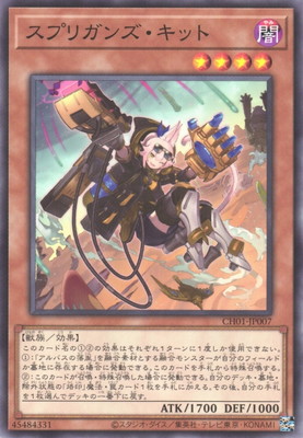 13/CH01-JP007 ץꥬ󥺡å