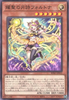 ��13��/03��/BPRO-JP012 �����η���ե���ȥ�