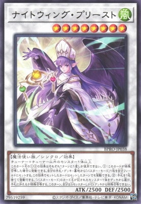 ナイトウィング・プリースト