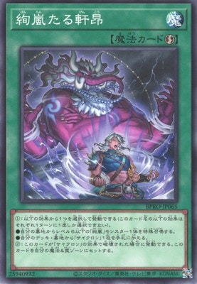 13/03/BPRO-JP065 򤿤븮