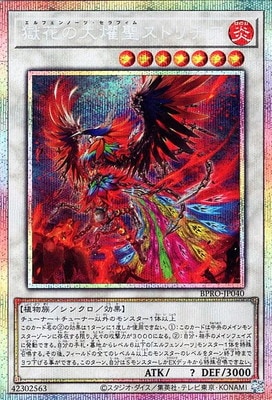 13/03/BPRO-JP040 ֤ȥڥץꥺޥƥååȥ쥢