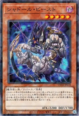 ��13��/TW03-JP070 ����ɡ��롦�ӡ����ȡڥΡ��ޥ�ѥ����