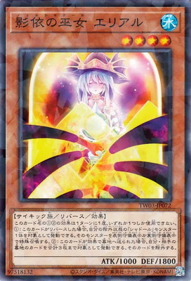 ��13��/TW03-JP072 �ưͤ���� ���ꥢ��ڥΡ��ޥ�ѥ����