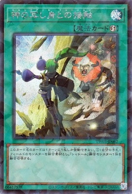 ��13��/TW03-JP082 ���μ̤��ȤȤ��ܿ��ڥ�������åȥ쥢�ѥ����