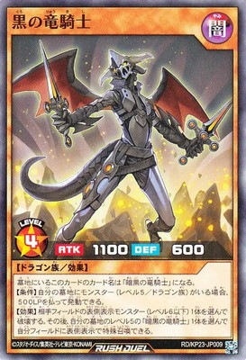 RD/KP23-JP009 ����ε����