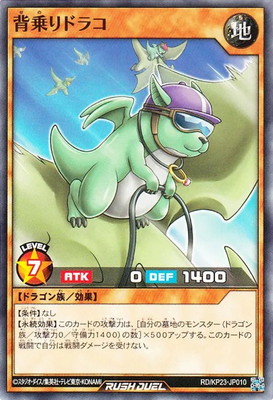 RD/KP23-JP010 �ؾ��ɥ饳