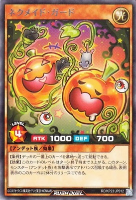 RD/KP23-JP012 �ͥ��ᥤ�ɡ������� R