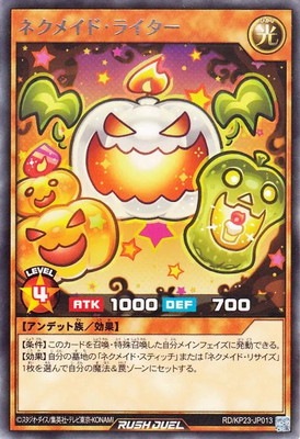 RD/KP23-JP013 �ͥ��ᥤ�ɡ��饤���� R