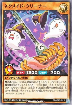 RD/KP23-JP016 �ͥ��ᥤ�ɡ����꡼�ʡ�