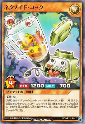 RD/KP23-JP017 �ͥ��ᥤ�ɡ����å�