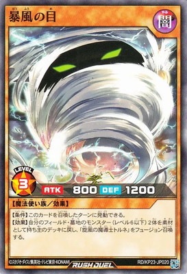 RD/KP23-JP020 ˽������