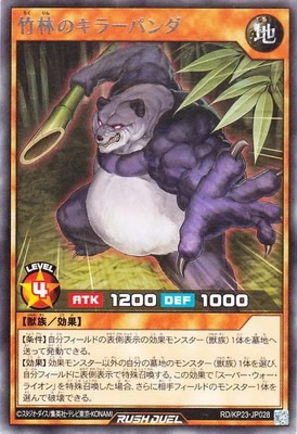 RD/KP23-JP028 ���ӤΥ��顼�ѥ�� R