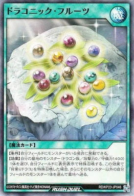 RD/KP23-JP046 �ɥ饳�˥å����ե롼��