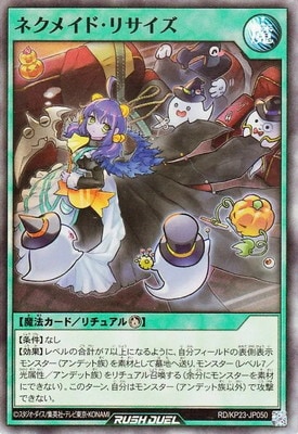RD/KP23-JP050 �ͥ��ᥤ�ɡ��ꥵ�����ڥ����ѡ��쥢��