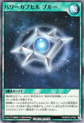 RD/KP23-JP055 �ѥ���ץ��� �֥롼