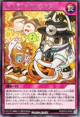 RD/KP23-JP063 �ͥ��ᥤ�ɡ��ȥ�å����� R