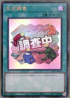 ��13��/LPST-JP034 ����Ĵ���ڥ���ȥ�쥢�ۡ�Ĵ�����