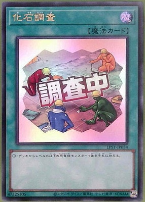 ��13��/LPST-JP034 ����Ĵ���ڥ���ȥ�쥢�ۡ�Ĵ�����