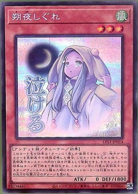 ��13��/LPST-JP014 ���뤷����ڥ�������åȥ쥢�ۡڵ㤱���