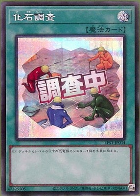 ��13��/LPST-JP034 ����Ĵ���ڥ�������åȥ쥢�ۡ�Ĵ�����