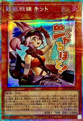 ��13��/LPST-JP016 Ŵ������ ���åȡڥץꥺ�ޥƥ��å���������åȥ쥢�ۡڥ˥��ۤɡ���