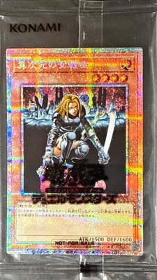 異次元の女戦士