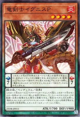 ��13��/25DB-JP011 ε���Υ����˥��СڥΡ��ޥ�ѥ����