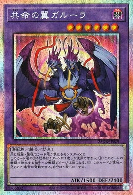 ��13��/25DB-JP029 ��̿���㥬�롼��ڥץꥺ�ޥƥ��å���������åȥ쥢��