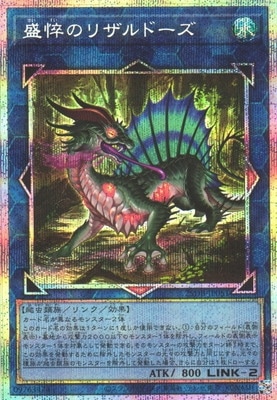 ��13��/25DB-JP051 ��ج�Υꥶ��ɡ����ڥץꥺ�ޥƥ��å���������åȥ쥢��