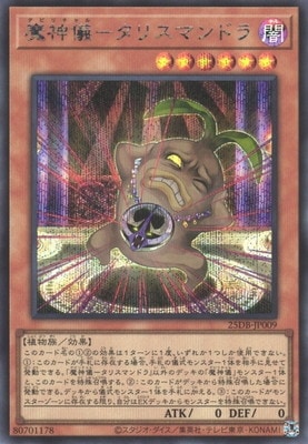 ��13��/25DB-JP009 ������ݥ��ꥹ�ޥ�ɥ�ڥ�������åȥ쥢��