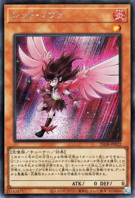 ��13��/25DB-JP022 ��åɡ��Υ����ڥ�������åȥ쥢��