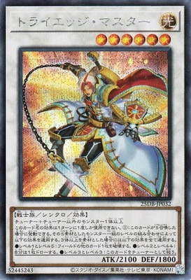 ��13��/25DB-JP032 �ȥ饤���å����ޥ������ڥ�������åȥ쥢��
