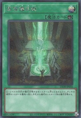 ��13��/25DB-JP056 ���������ѡڥ�������åȥ쥢��