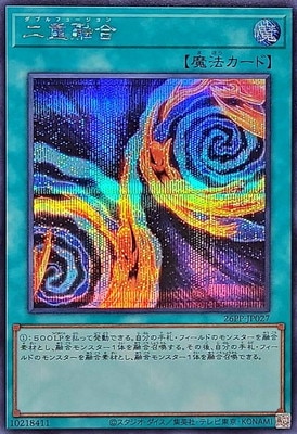 26PP-JP027 ���ͻ��ڥ�������åȥ쥢��