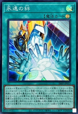 26PP-JP013 �ʱ��嫡ڥ����ѡ��쥢��