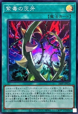 26PP-JP014 ���Ǥΰ��ڥ����ѡ��쥢��