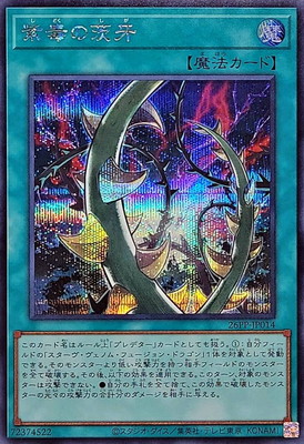 26PP-JP014 ���Ǥΰ��ڥ�������åȥ쥢��