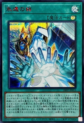 26PP-JP013 �ʱ��嫡ڥ�������åȥ쥢 SPECIAL RED Ver.��