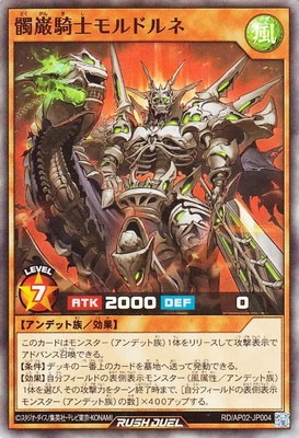 RD/AP02-JP004 ��൳�Υ��ɥ�͡ڥ����ѡ��쥢��