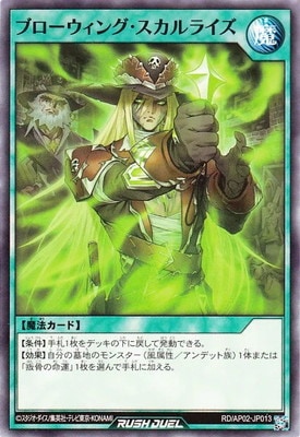 RD/AP02-JP013 �֥��������󥰡�������饤��