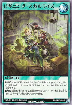 RD/AP02-JP014 �ӥ��˥󥰡�������饤��