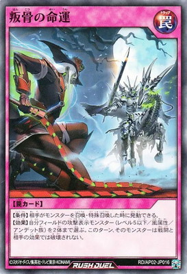 RD/AP02-JP016 ������̿��