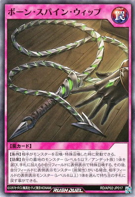 RD/AP02-JP017 �ܡ��󡦥��ѥ��󡦥����å�