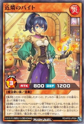 RD/AP02-JP024 ���դΥѥ���