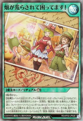 RD/AP02-JP028 Ȫ���Ӥ餵��ƺ��äƤޤ����ڥ����ѡ��쥢��