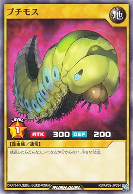 RD/AP02-JP034 �ץ��⥹