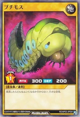 RD/AP02-JP034 �ץ��⥹