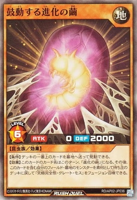 RD/AP02-JP036 ��ư����ʲ������ڥ����ѡ��쥢��