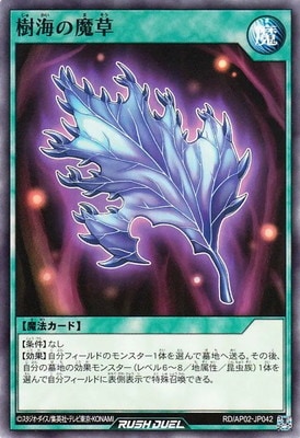 RD/AP02-JP042 ����������