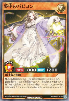 RD/AP02-JP048 ̴��Υѥԥ��